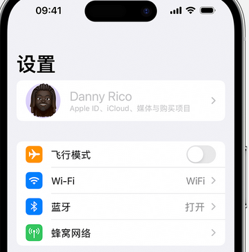 内江appleID维修服务iPhone设置中Apple ID显示为灰色无法使用