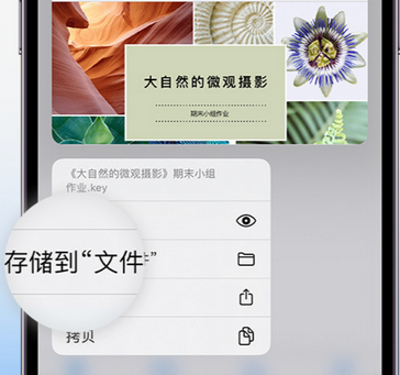 内江apple维修中心分享iPhone文件应用中存储和找到下载文件