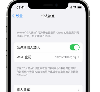 内江apple服务站点分享iPhone上个人热点丢失了怎么办 