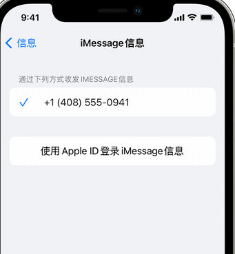 内江apple维修iPhone上无法正常发送iMessage信息 