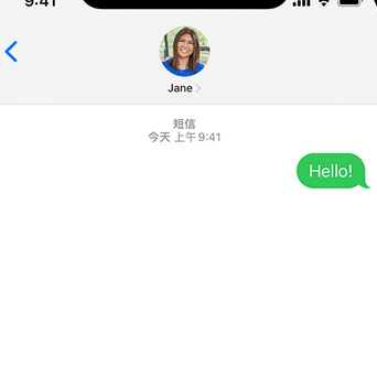 内江apple维修iPhone上无法正常发送iMessage信息