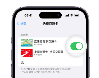 内江apple维修点分享iPhone上更换Apple Pay快捷交通卡手绘卡面 