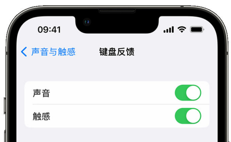 内江苹果手机维修分享iPhone 14触感键盘使用方法 