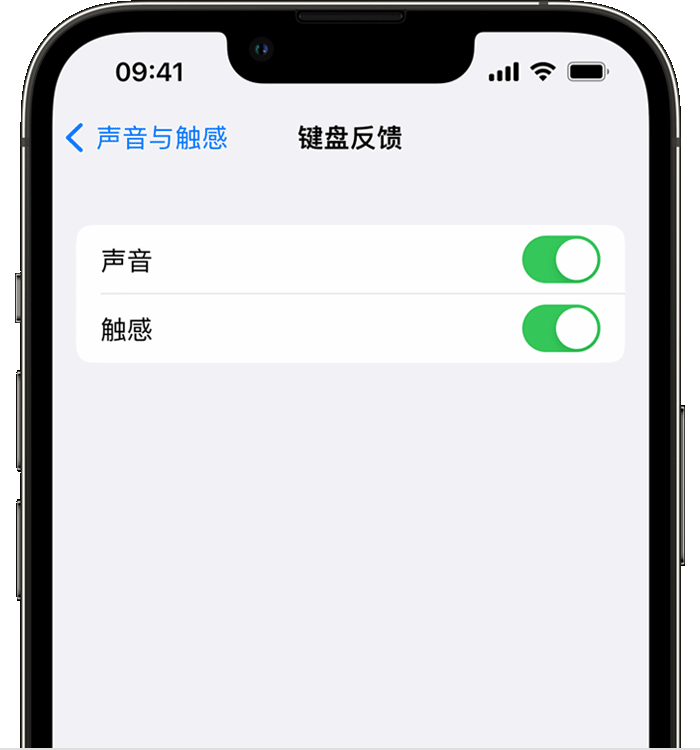 内江苹果14维修店分享如何在 iPhone 14 机型中使用触感键盘 