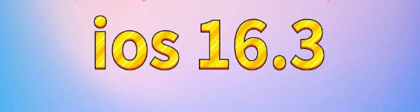 内江苹果服务网点分享苹果iOS16.3升级反馈汇总 