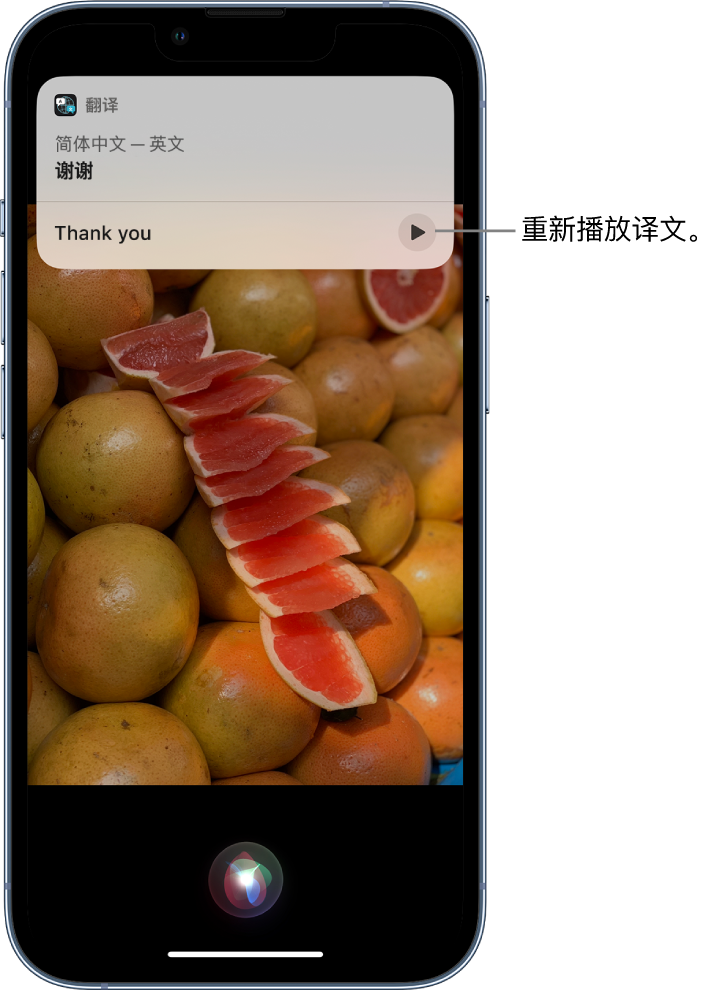 内江苹果14维修分享 iPhone 14 机型中使用 Siri：了解 Siri 能帮你做什么 