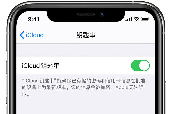 内江苹果手机维修分享在 iPhone 上开启 iCloud 钥匙串之后会储存哪些信息 