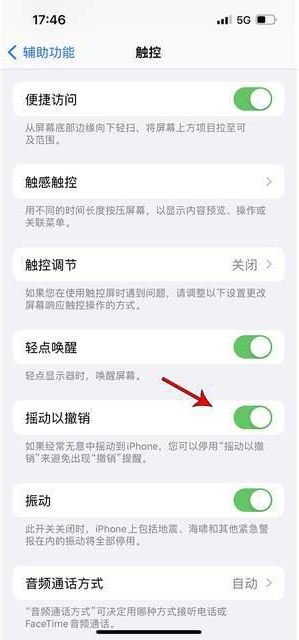 内江苹果手机维修分享iPhone手机如何设置摇一摇删除文字 