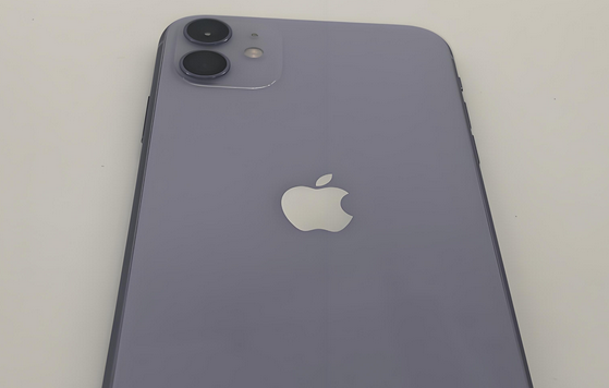 内江苹果11系统维修分享iPhone11手机系统崩溃无法开机如何解决